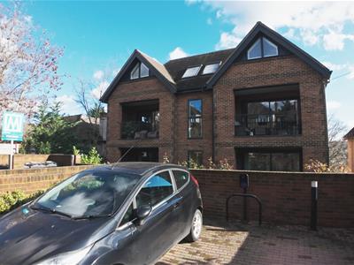 Picture 20